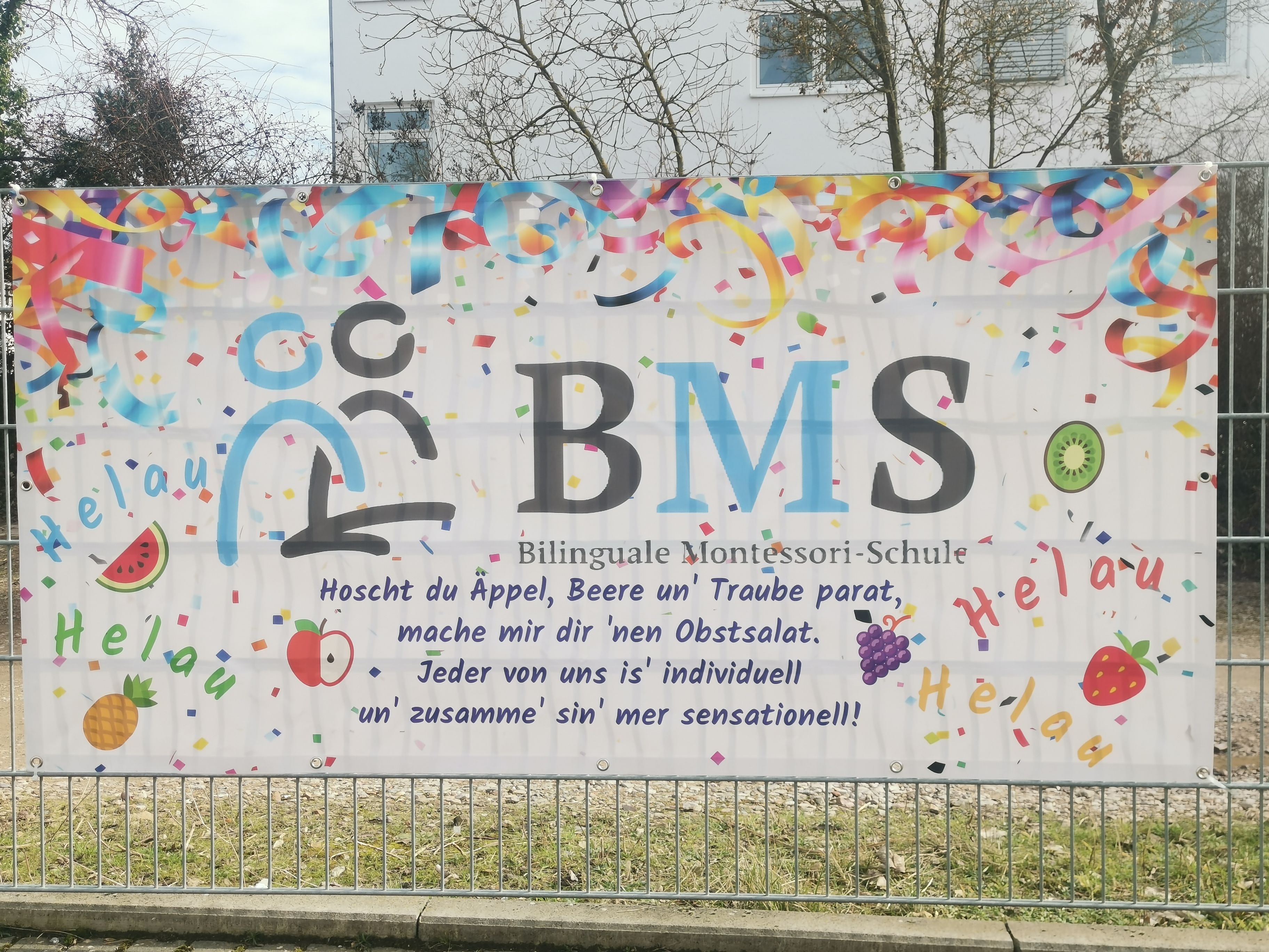 BMS_Banner.jpg